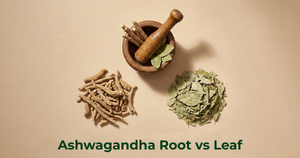 Ashwagandha Root vs Leaf, Which Form Is Traditionally Used for Better Results