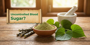 Uncontrolled Blood Sugar? Ayurveda’s Giloy Powder May Help Naturally